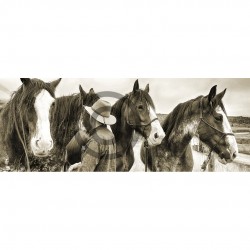 Clydesdales Sepia